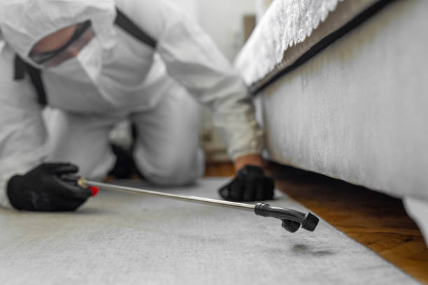 Professional Ant Control technician working in Hartley, CA